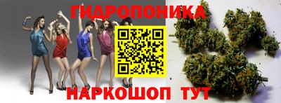 индика Донецк