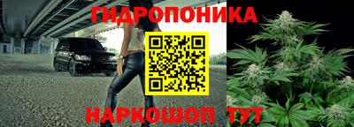 индика Донецк