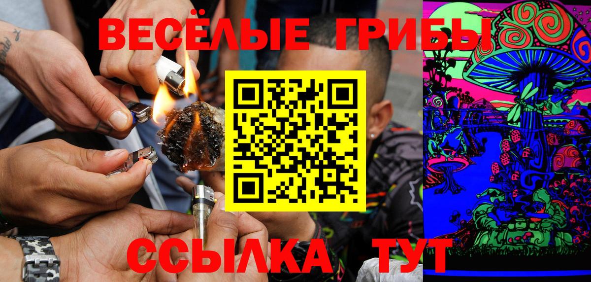 Надым  Галлюциногенные грибы Cubensis  Вход с VPN 