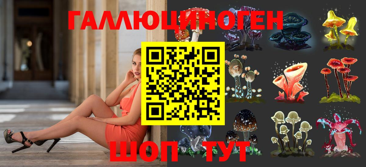 Галлюциногенные грибы Psilocybine cubensis Надым